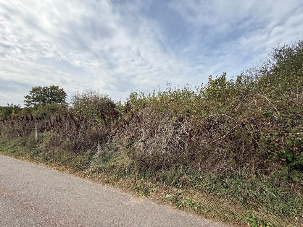 Lot: 63 - FREEHOLD PARCEL OF LAND WITH POTENTIAL - Side shot of land